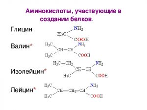 aminokisloty